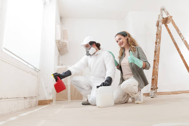 Best Mold Prevention Services  in Holley, FL